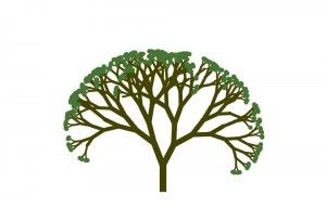 arbre1